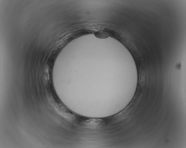 X0000115310128200911301544