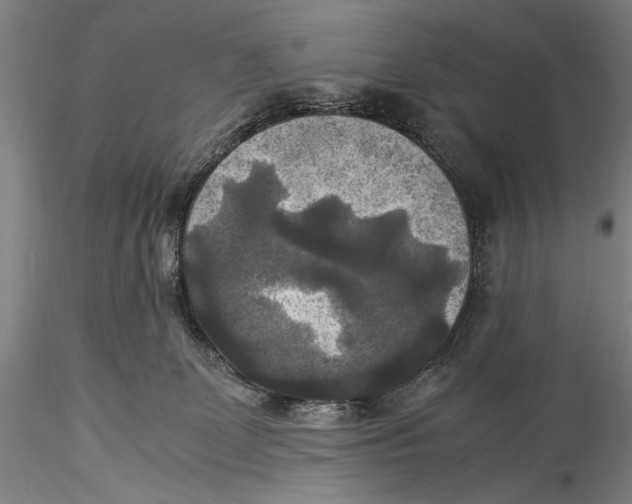 X0000115310131200911301544