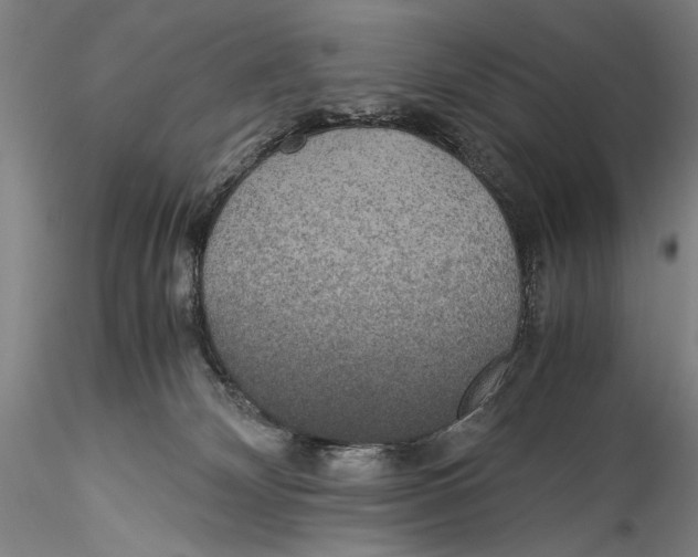 X0000115310132200911301544