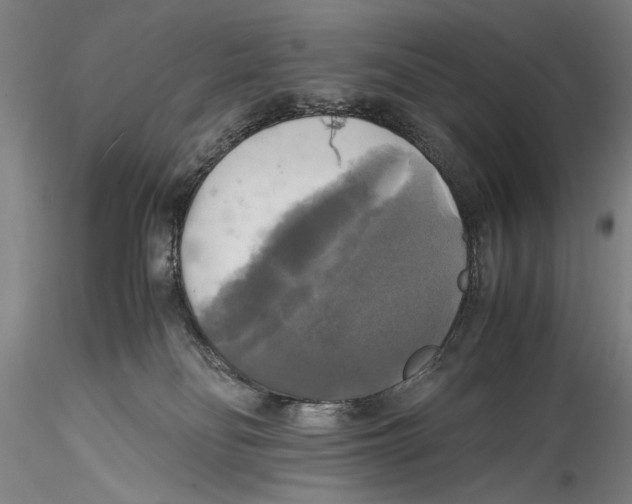 X0000115310134200911301544