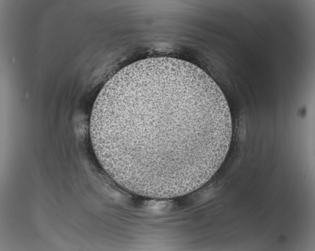 X0000115310135200911301544