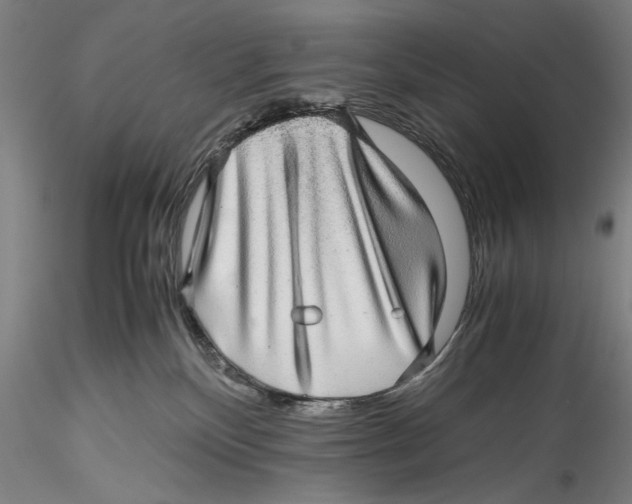 X0000115310136200911301544