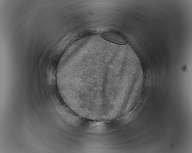 X0000115310140200911301544