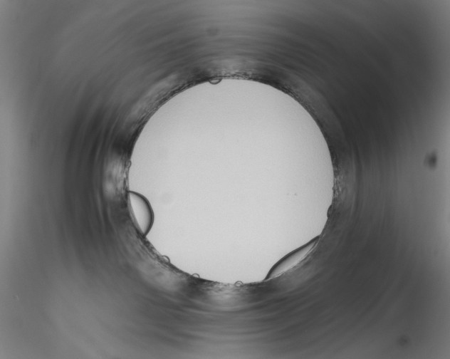 X0000115310142200911301544