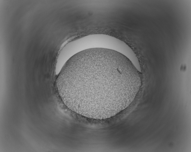 X0000115310144200911301544