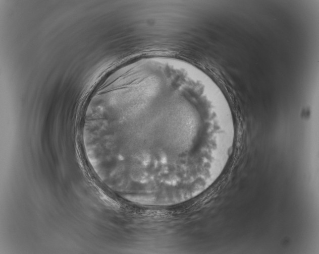 X0000115310145200911301543