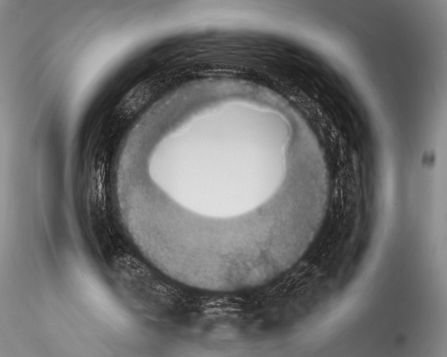 X0000115310146200911301543