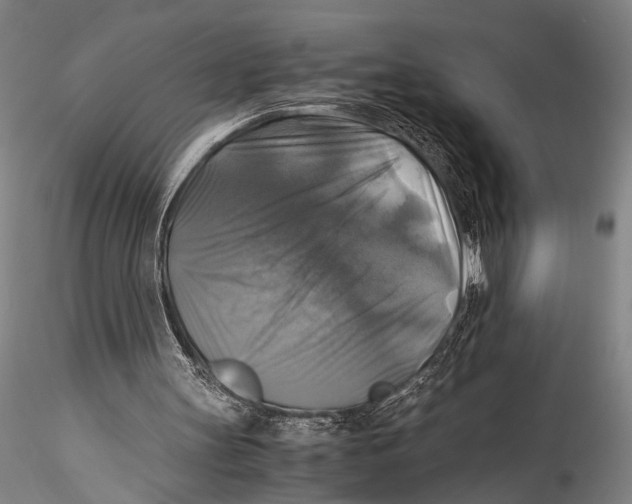 X0000115310147200911301543