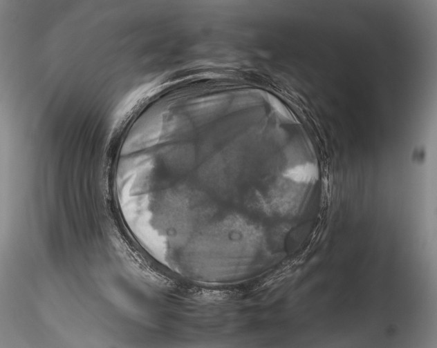 X0000115310149200911301543