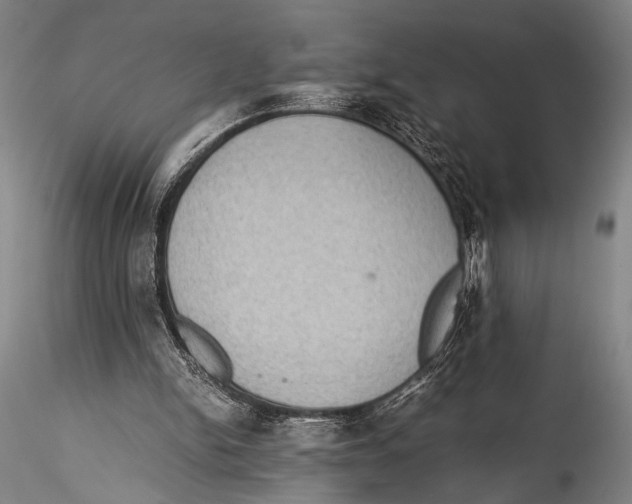 X0000115310150200911301543