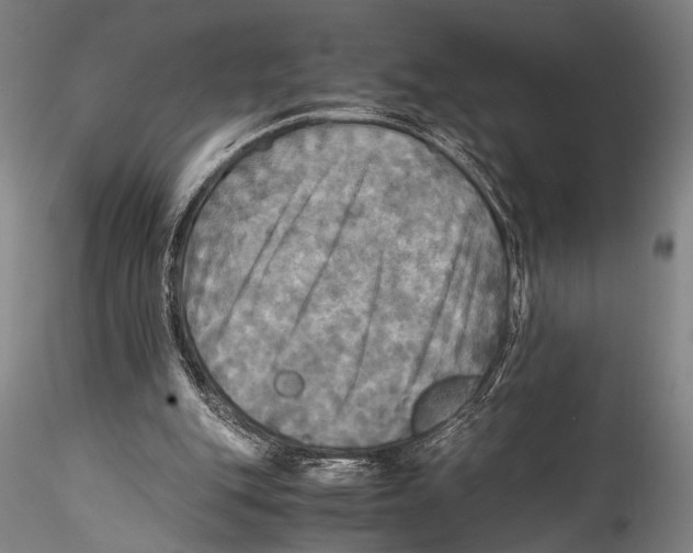 X0000115310151200911301543