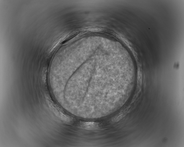 X0000115310153200911301543