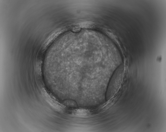 X0000115310154200911301543