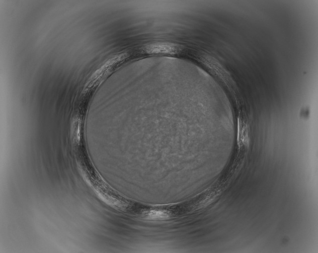 X0000115310157200911301544