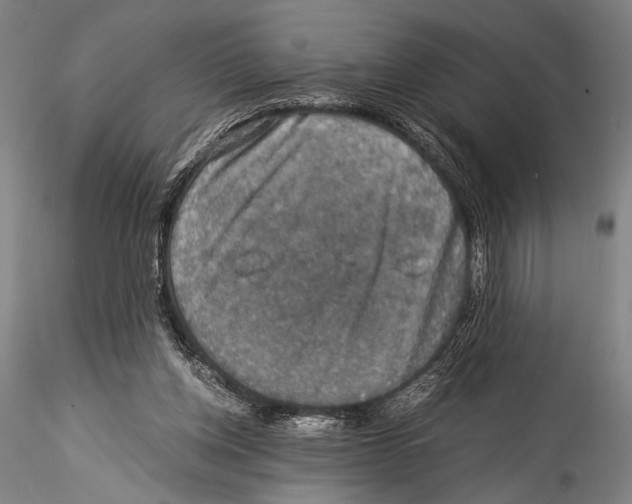 X0000115310158200911301544