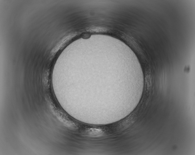 X0000115310159200911301544