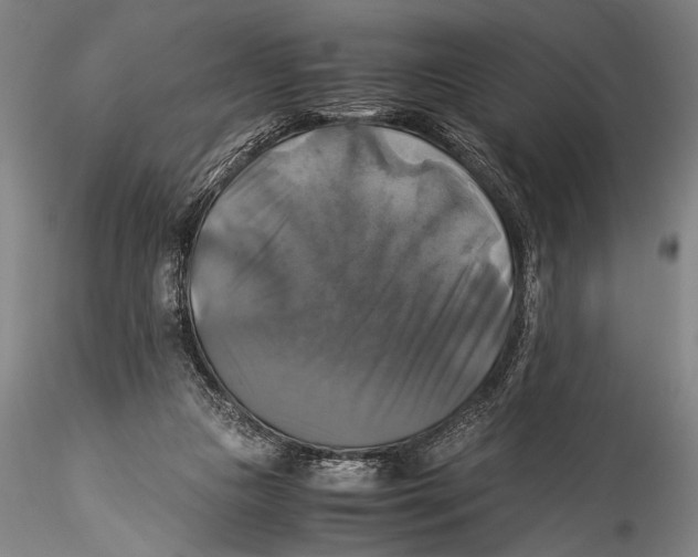 X0000115310161200911301544