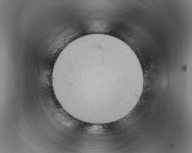 X0000115310162200911301544