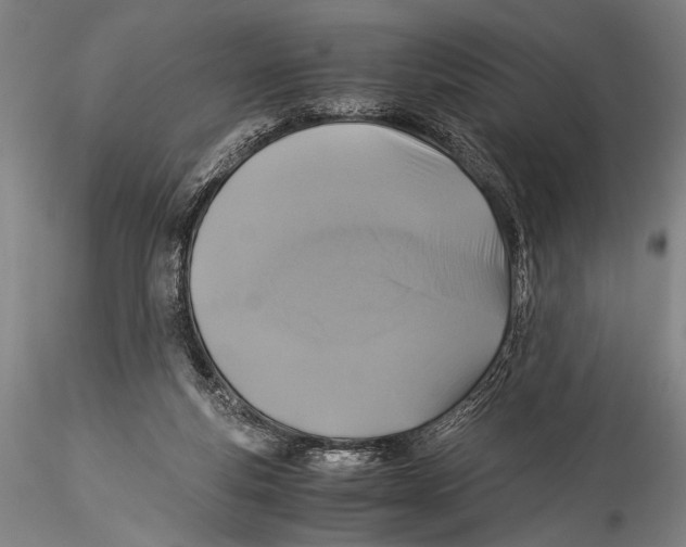 X0000115310163200911301544