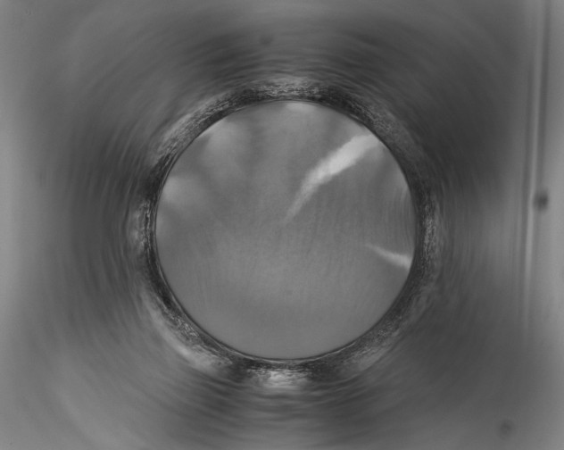 X0000115310165200911301544