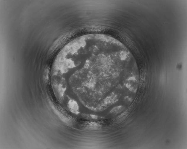 X0000115310166200911301544