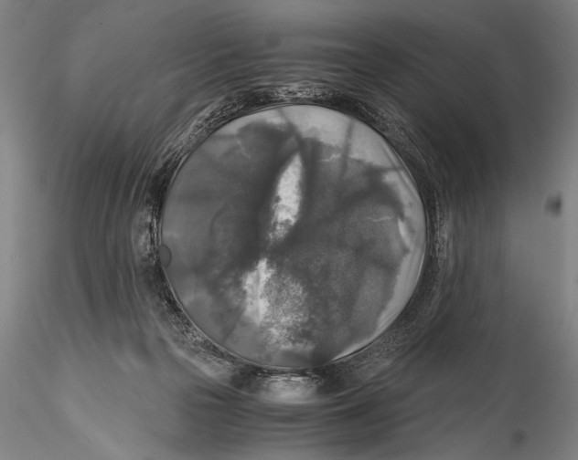 X0000115310169200911301544