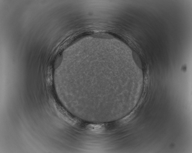 X0000115310170200911301544