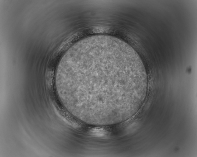 X0000115310171200911301544