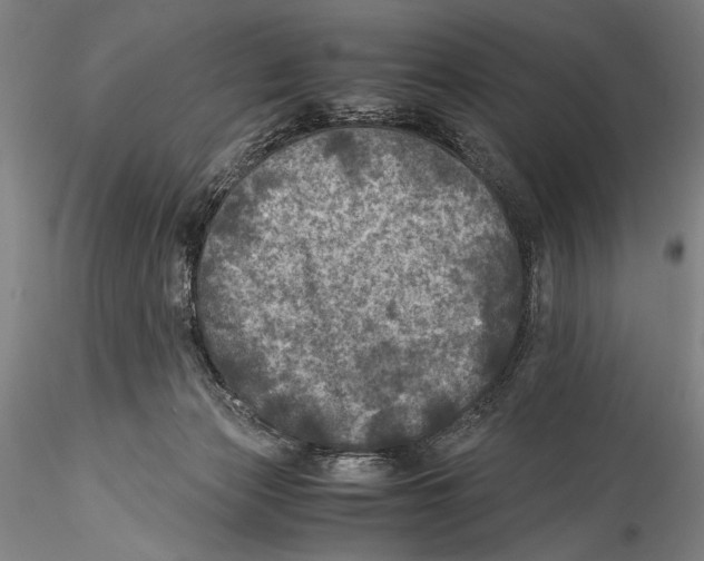 X0000115310173200911301544