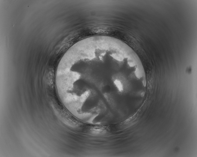 X0000115310175200911301544