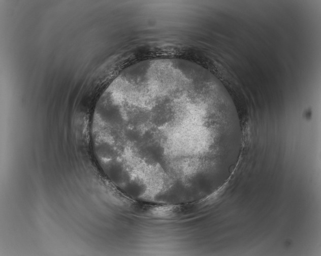 X0000115310178200911301544