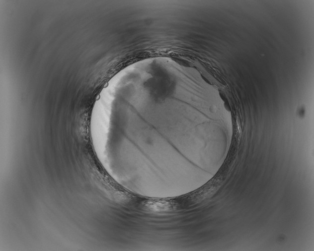 X0000115310181200911301544