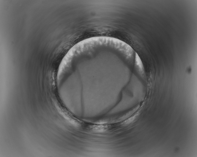 X0000115310182200911301544