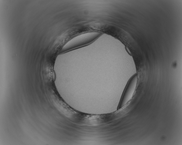 X0000115310186200911301544