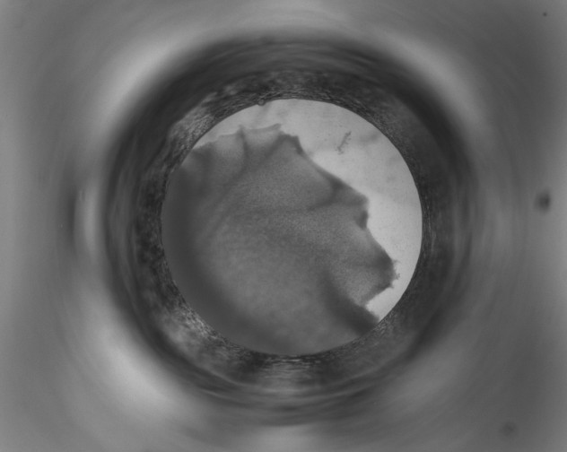 X0000115310189200911301544