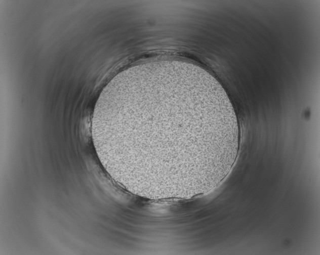 X0000115310190200911301544