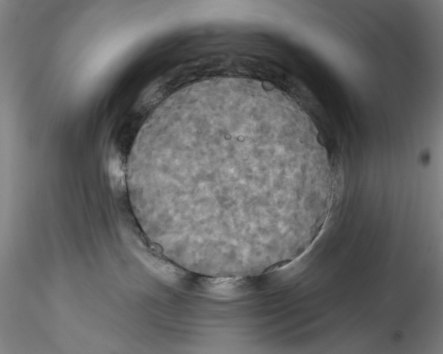 X0000115310191200911301544