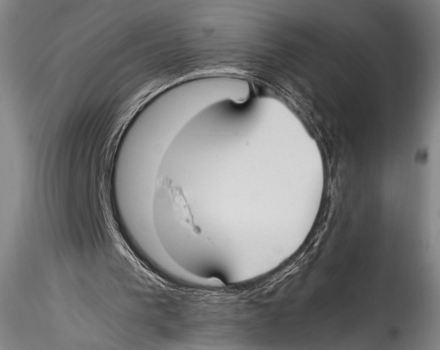 X0000115310193200911301543