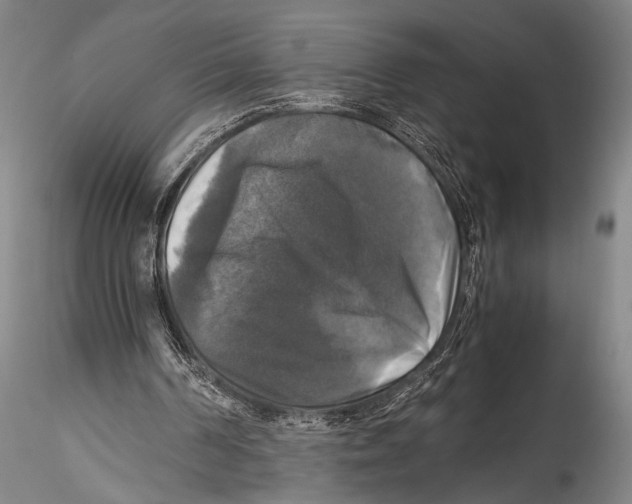 X0000115310194200911301543