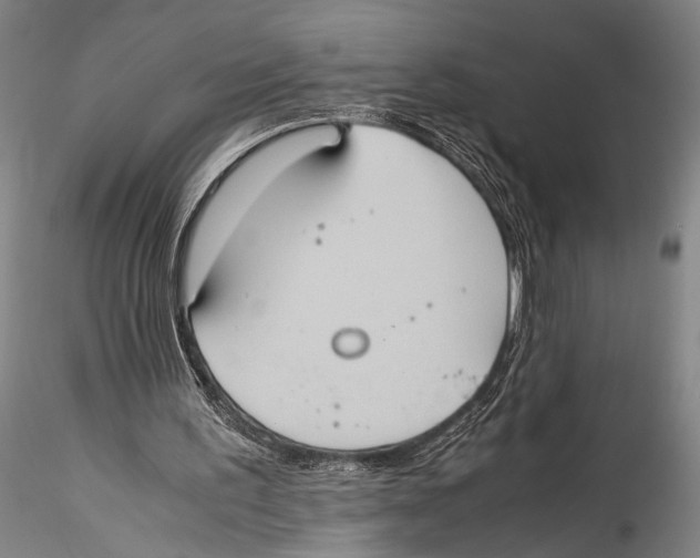 X0000115310195200911301543