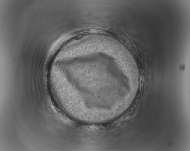 X0000115310197200911301543