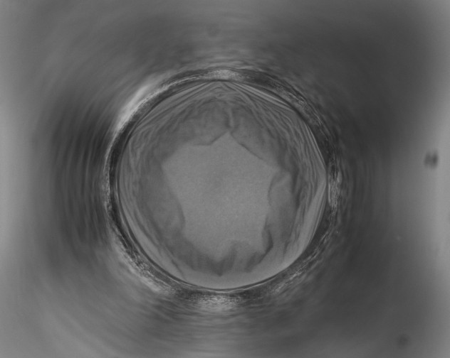 X0000115310198200911301543