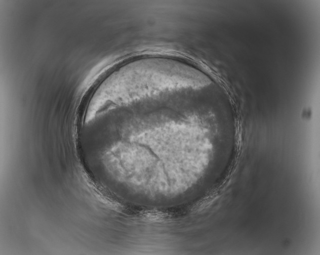 X0000115310199200911301543