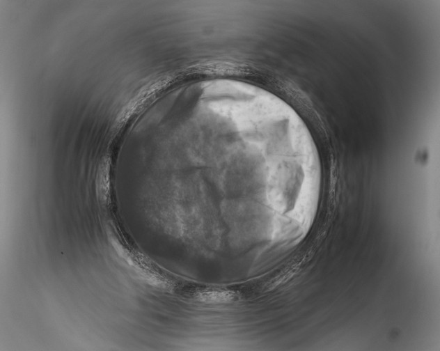 X0000115310202200911301543