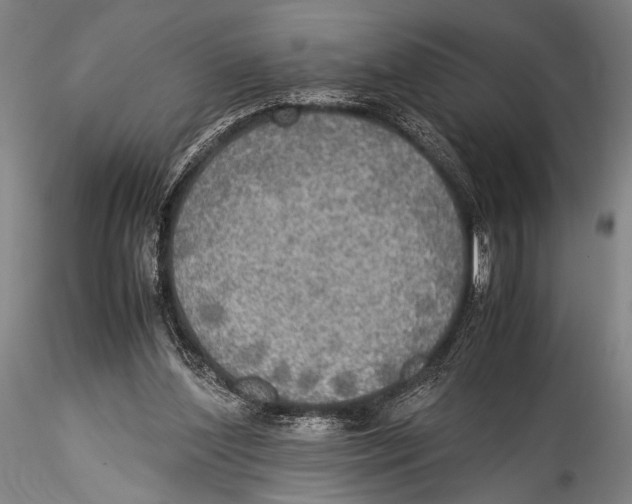 X0000115310204200911301543