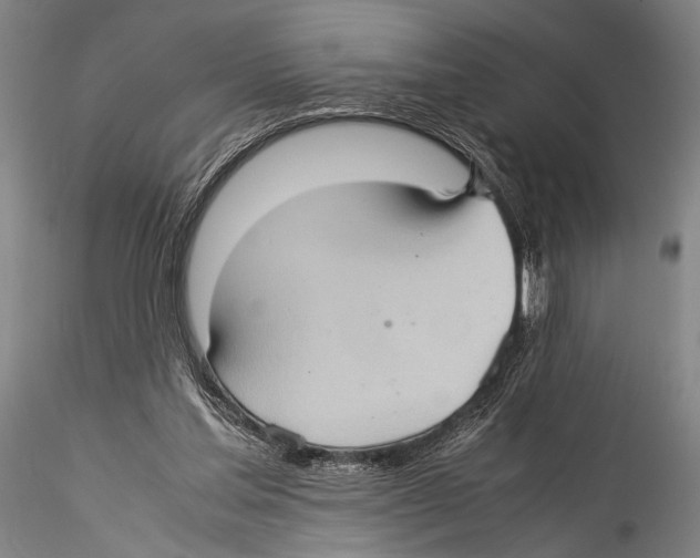 X0000115310205200911301543