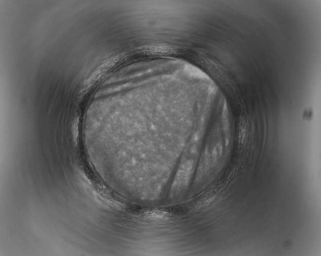 X0000115310206200911301543