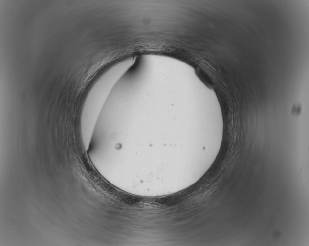 X0000115310207200911301543