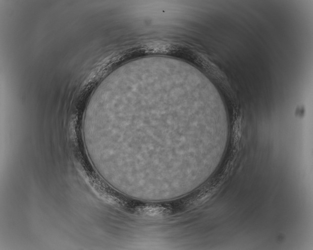 X0000115310209200911301543