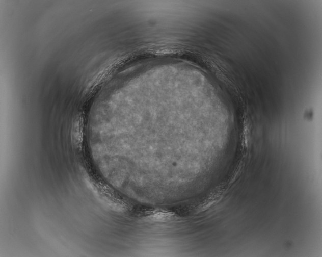 X0000115310210200911301543